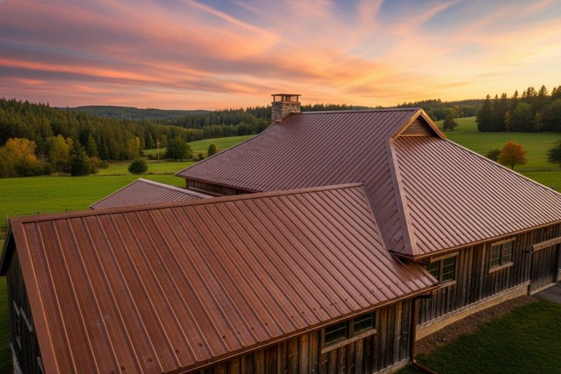Copper Roof Replacement in Dacula, GA