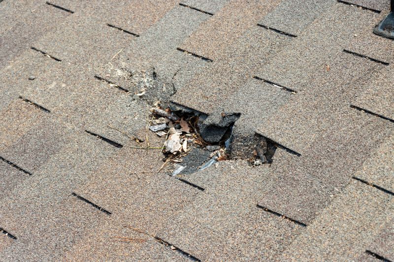 Roof Shingles Replacement in Jefferson, GA