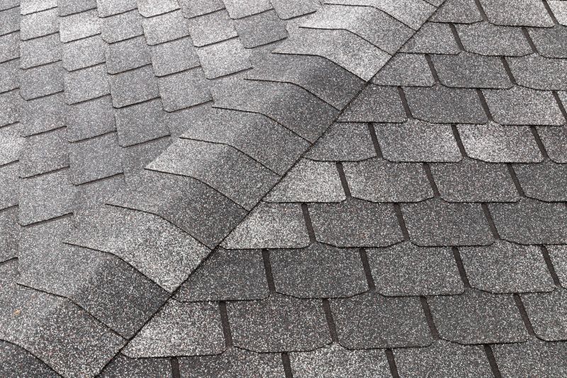 Roof Shingles Replacement in Oakwood, GA