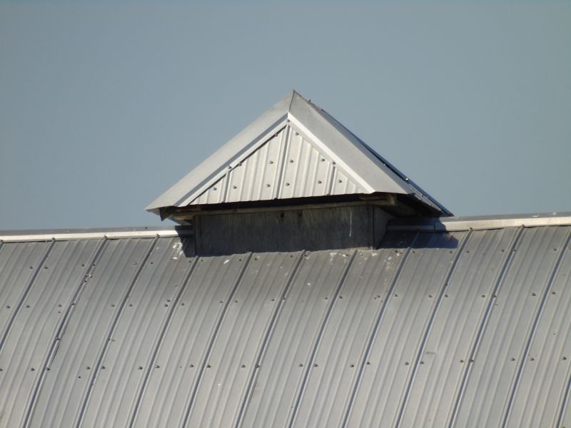 Tin Roof Installation in Braselton, GA
